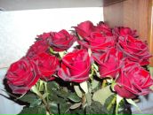 Катерина Горбій фотография #40 (источник - https://vk.com/id53273571)