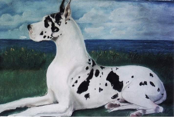 Rajini Kanth фотография #13