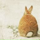 Фотография Флориной Юлии