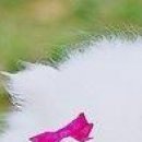 Катя Махніцька фотография #8 (источник - https://vk.com/id80782505)