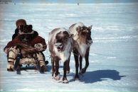 Фотография Горина Дениса