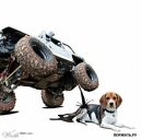 Андрій Добрусь фотография #30 (источник - https://vk.com/id75546355)