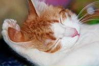 Фотография Леонтьевой Веры