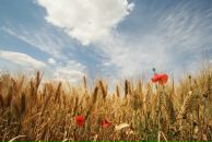 Фотография Карасёвой Тани