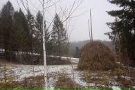 Танічка Красьоха фотография #19 (источник - https://vk.com/id88564240)