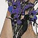 Олічка Грицина фотография #47 (источник - https://vk.com/id145502309)