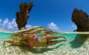 Фотография Даниловой Ольги