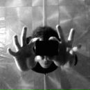 Фотография Труфанова Александра