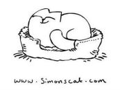 Фотография Усманова Влада