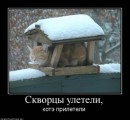 Сіроманець Патріот фотография #50 (источник - https://vk.com/id17582037)