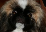 Нинико Парулава фотография #24 (источник - https://vk.com/id2854850)