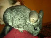 Фотография Авдонькиной Веры