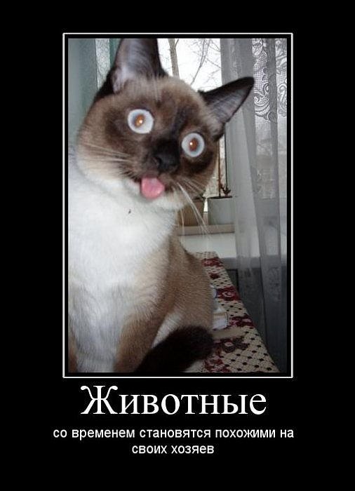 Антон Потапенко фотография #36