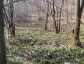 Міша Мельникович фотография #12 (источник - https://vk.com/id134097619)