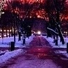 Віола Кравчук фотография #14 (источник - https://vk.com/id150959655)