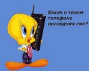 Настя Насік фотография #46 (источник - https://vk.com/id62625237)