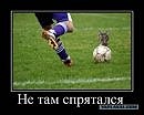 Ваня Ярмоліч фотография #46 (источник - https://vk.com/id56762298)