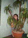 Фотография Бабушкиной Веры