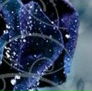 Вова Поліщук фотография #47 (источник - https://vk.com/id37464294)