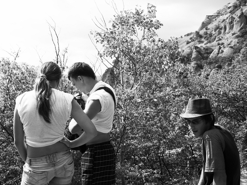 Phasma Morulus фотография #41