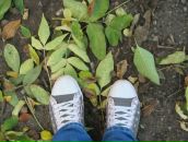 Фотография Никифоров Иван