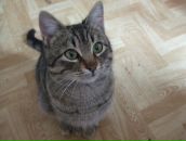 Денис Олейников фотография #11 (источник - https://vk.com/id2115269)