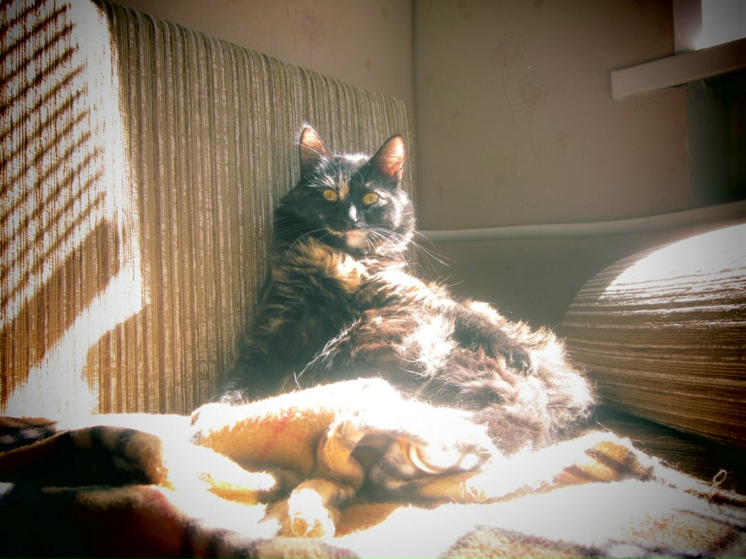 Юля Леденёва фотография #28