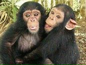 Вадік Ковальський фотография #15 (источник - https://vk.com/id89878773)