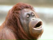 Вадік Ковальський фотография #14 (источник - https://vk.com/id89878773)