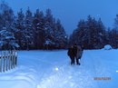 Яна Дзівалківська фотография #17 (источник - https://vk.com/id155561861)