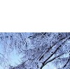 Надія Черевата фотография #40 (источник - https://vk.com/id134020154)