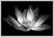 Фотография Александровой Ольги