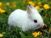 Марія Федорук фотография #47 (источник - https://vk.com/id64427882)