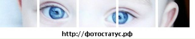 Ростислав Андрійович фотография #22 (источник - https://vk.com/id30328813)