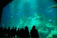 Антон Постников фотография #7 (источник - https://vk.com/id562928)