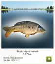 Анатолій Даценко фотография #40 (источник - https://vk.com/id67890914)