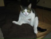 Фотография Семеновой Надежды