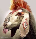 Фотография Mobil Almaz