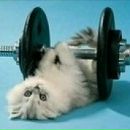 Вєталь Захаров фотография #50 (источник - https://vk.com/id148923192)