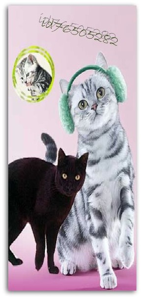 Black Cat фото №36