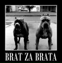 Міша Ривак фотография #5 (источник - https://vk.com/id177118533)