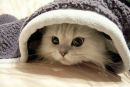 Христік Кручковська фотография #1