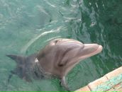 Фотография Шнейдера Сергея