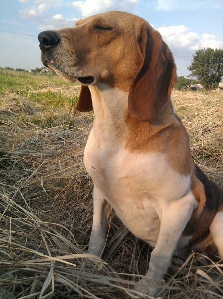 Валентин Ждан фото №45