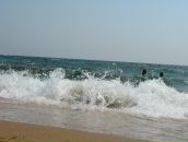 Фотография Нижегородовой Татьяны