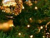 Діма Швець фотография #6 (источник - https://vk.com/id141828225)