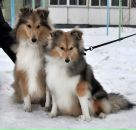 Фотография Абрамовой Виктории