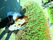 Фотография Обатниной Натальи