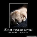 Влад Ірговці фотография #21 (источник - https://vk.com/id74089923)