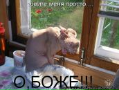 Фотография Романовой Ольги